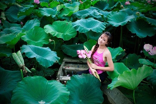 Hanoï à la saison des lotus - ảnh 3